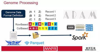 大數(shù)據(jù)驅(qū)動(dòng)醫(yī)療軟件開發(fā) 應(yīng)對(duì)醫(yī)療衛(wèi)生成本激增的智慧之道